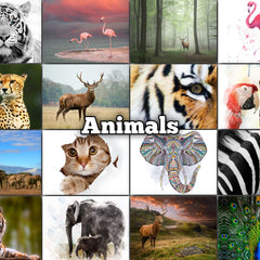Collection image for: Canvas Animals