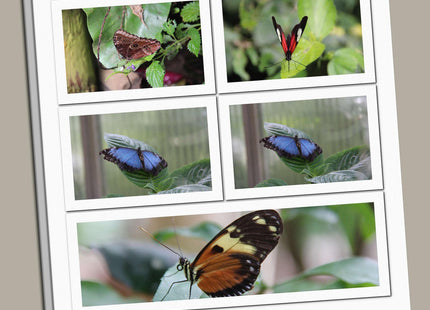 Stunning Custom Personalised Collage Canvas Print Unique Picture Montage Gift