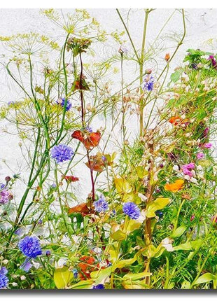 wild flowers canvas picture Poppies reds greens blues purples greens