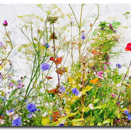 Wild Flowers & Grasses Canvas Picture Poppies Reds, Green, Blue, Purple Framed