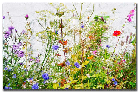 Wild Flowers & Grasses Canvas Picture Poppies Reds, Green, Blue, Purple Framed