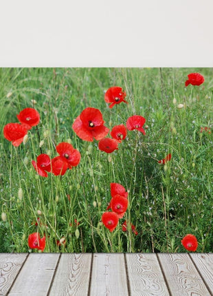 Poppy field Canvas Print Wall decor green grasses canvas picture print