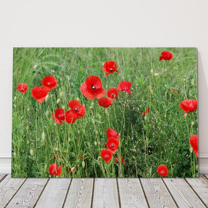 Poppy field Canvas Print Wall decor green grasses canvas picture print