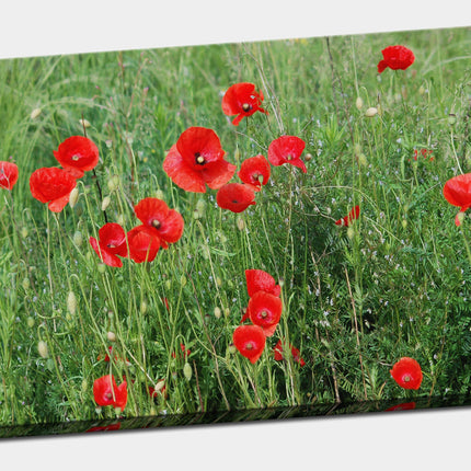 Poppy field Canvas Print Wall decor green grasses canvas picture print