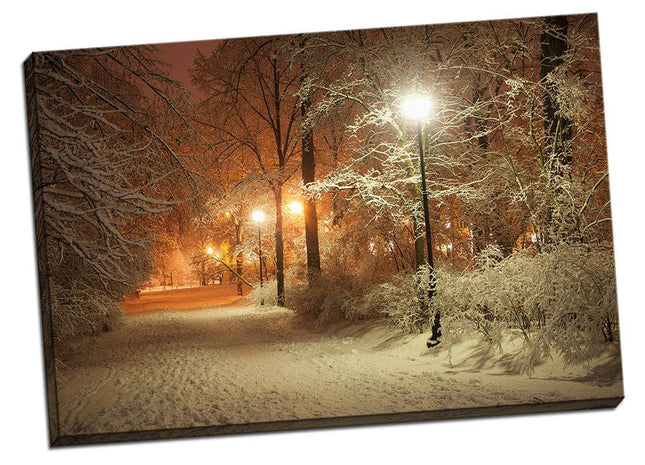 Winter scene canvas print