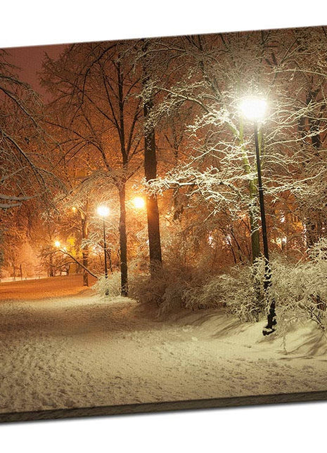 Winter scene canvas print