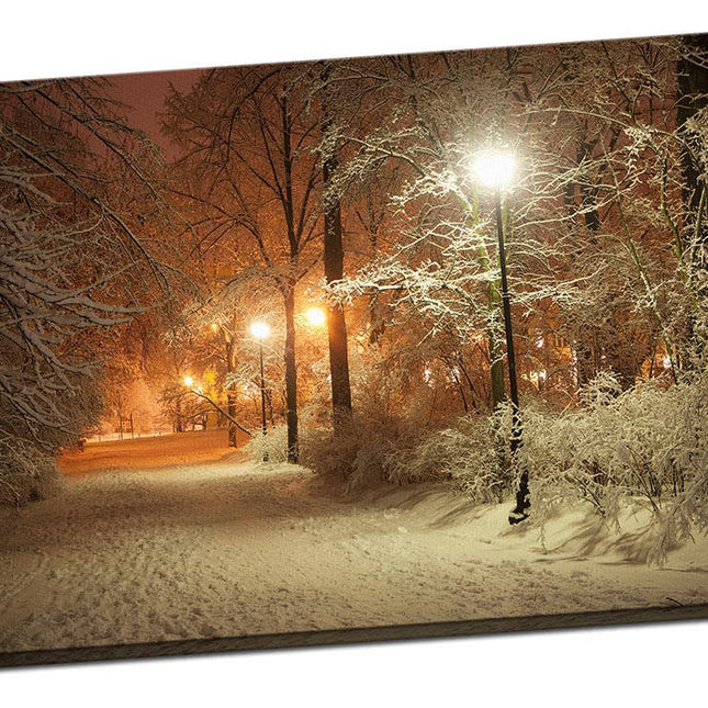 Winter scene canvas print