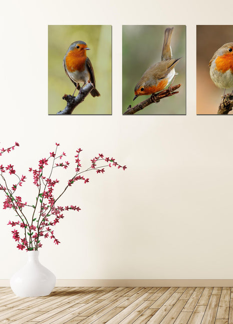 Set of 3 robin canvas pictures. Hand made pictures printed on to canvas.