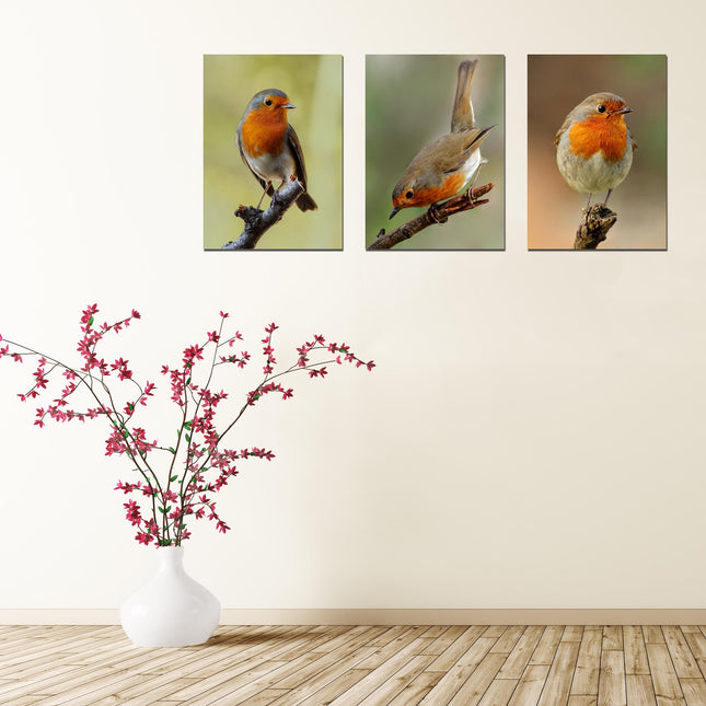 Set of 3 robin canvas pictures. Hand made pictures printed on to canvas.