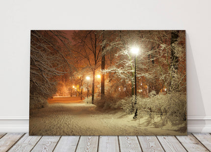 Winter scene canvas print