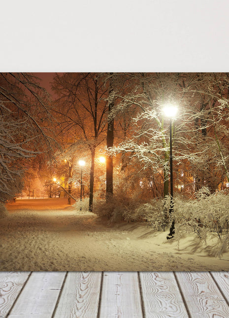 Winter scene canvas print