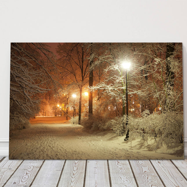 Winter scene canvas print
