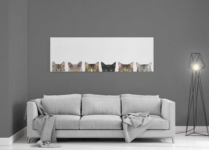 Peeping kittens, panoramic canvas picture print. Pictured on a white background