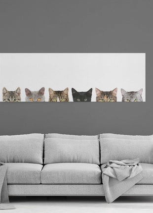 Peeping kittens, panoramic canvas picture print. Pictured on a white background