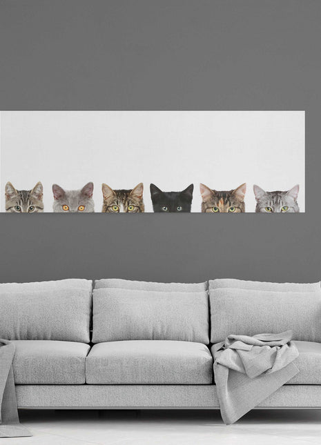 Peeping kittens, panoramic canvas picture print. Pictured on a white background