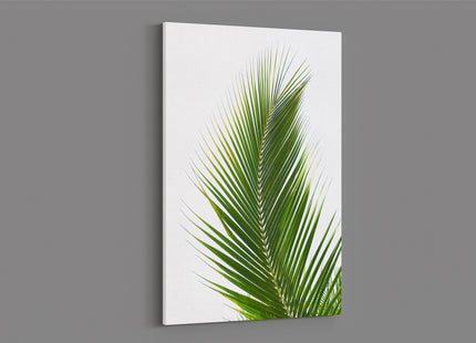 Palm tree leaf green with white background modern picture canvas print portrait