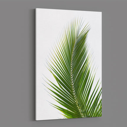 Palm tree leaf green with white background modern picture canvas print portrait