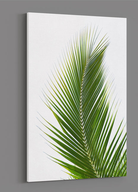 Palm tree leaf green with white background modern picture canvas print portrait