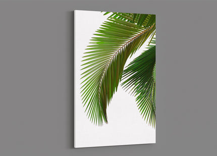 Palm leaves white background canvas picture print portrait white background