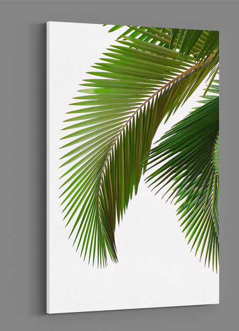 Palm leaves white background canvas picture print portrait white background