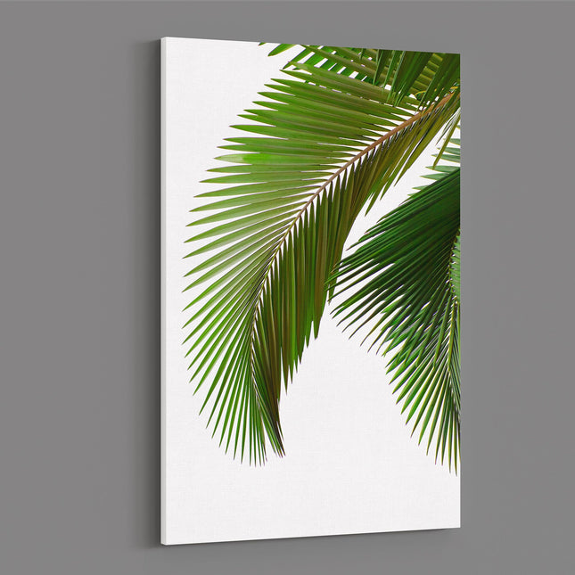 Palm leaves white background canvas picture print portrait white background