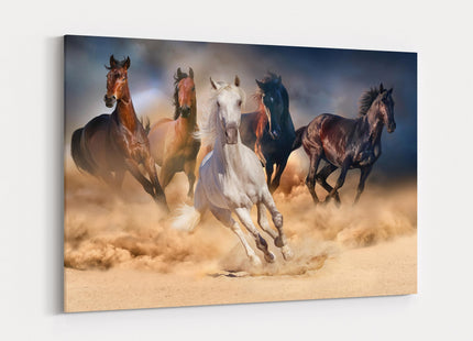 Wild horses galloping through the sand. Wildlife animal picture. Canvas picture