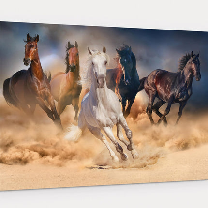 Wild horses galloping through the sand. Wildlife animal picture. Canvas picture