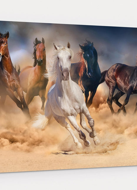 Wild horses galloping through the sand. Wildlife animal picture. Canvas picture