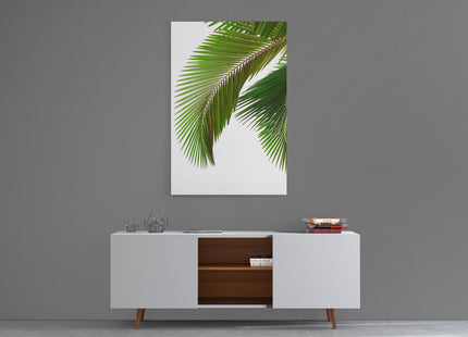 Palm leaves white background canvas picture print portrait white background