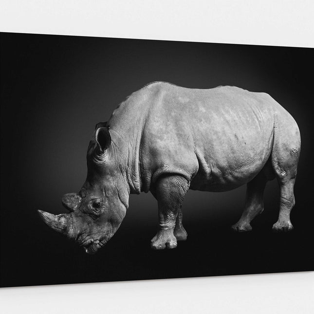 rhinoceros on a black background. South African rhino. Canvas picture print