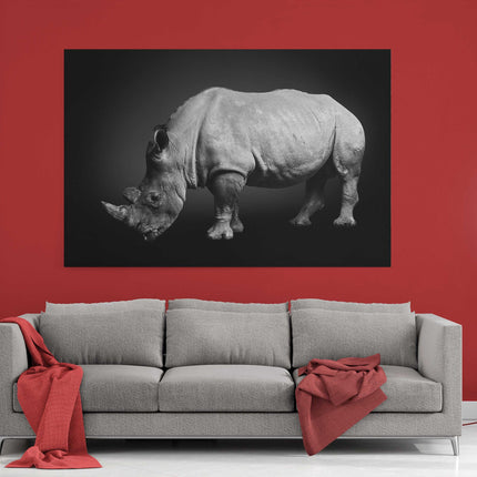 rhinoceros on a black background. South African rhino. Canvas picture print