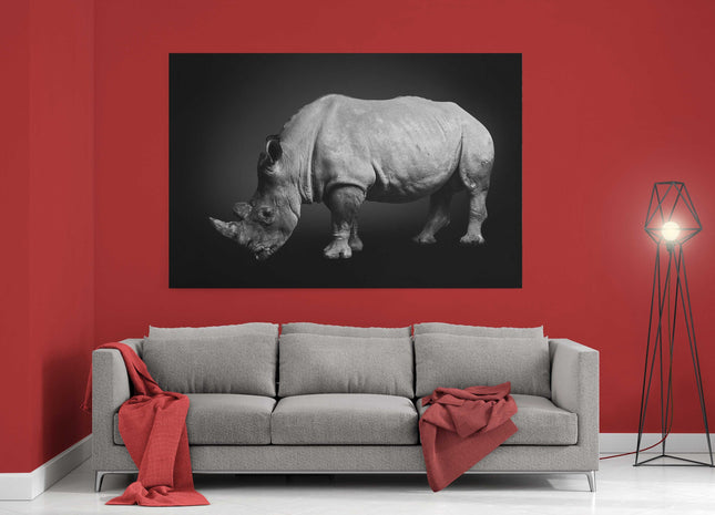 rhinoceros on a black background. South African rhino. Canvas picture print
