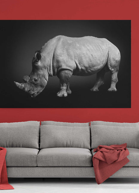 rhinoceros on a black background. South African rhino. Canvas picture print