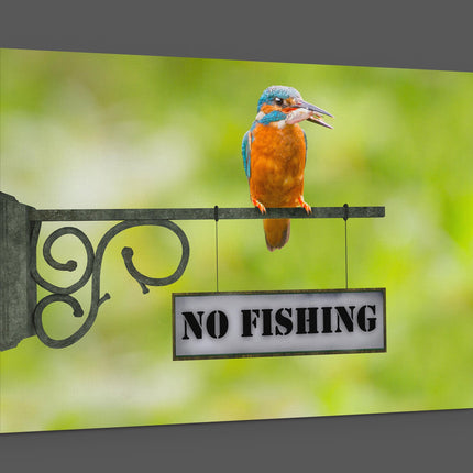 king fisher caught a fish sitting on a no fishing sign canvas picture print