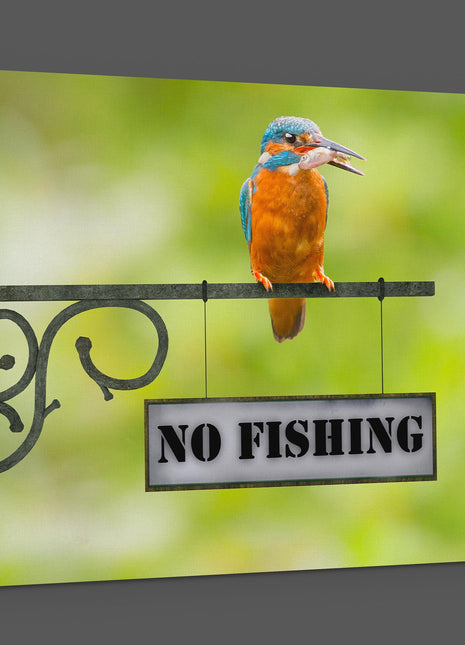 king fisher caught a fish sitting on a no fishing sign canvas picture print