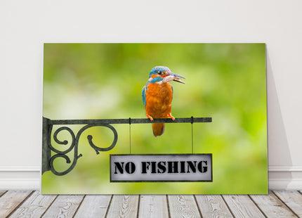 king fisher caught a fish sitting on a no fishing sign canvas picture print