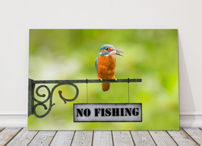 king fisher caught a fish sitting on a no fishing sign canvas picture print