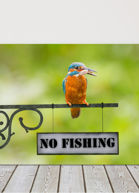 king fisher caught a fish sitting on a no fishing sign canvas picture print