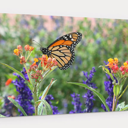 monarch butterfly in wild flowers printed canvas picture print
