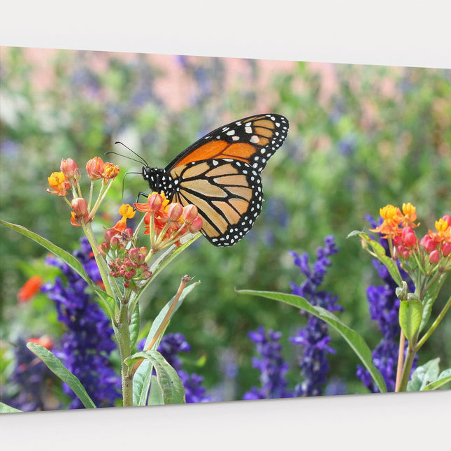 monarch butterfly in wild flowers printed canvas picture print
