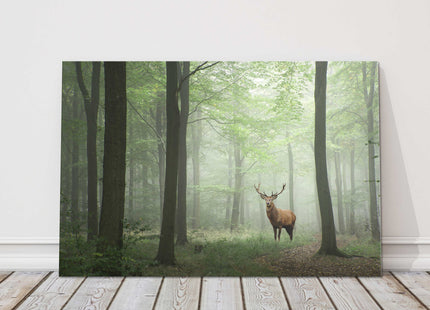 Stag in the forest, set in a misty background. Printed canvas picture.