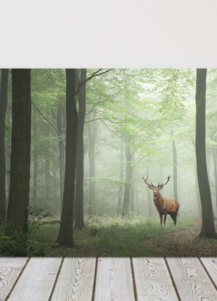 Stag in the forest, set in a misty background. Printed canvas picture.