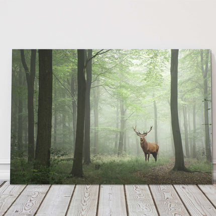 Stag in the forest, set in a misty background. Printed canvas picture.