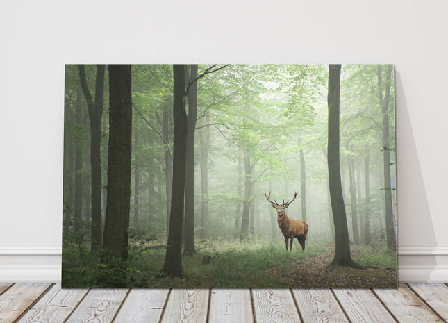 Stag in the forest, set in a misty background. Printed canvas picture.