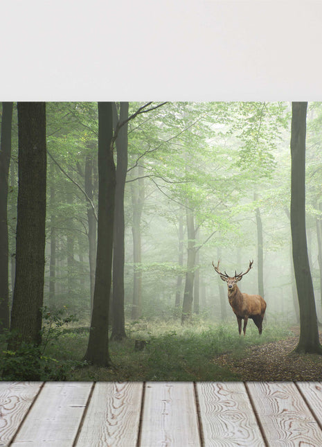 Stag in the forest, set in a misty background. Printed canvas picture.
