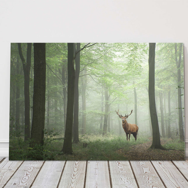 Stag in the forest, set in a misty background. Printed canvas picture.