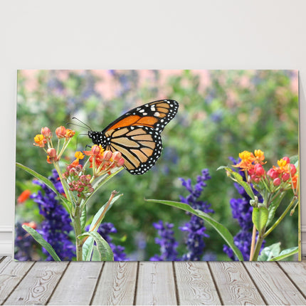 monarch butterfly in wild flowers printed canvas picture print
