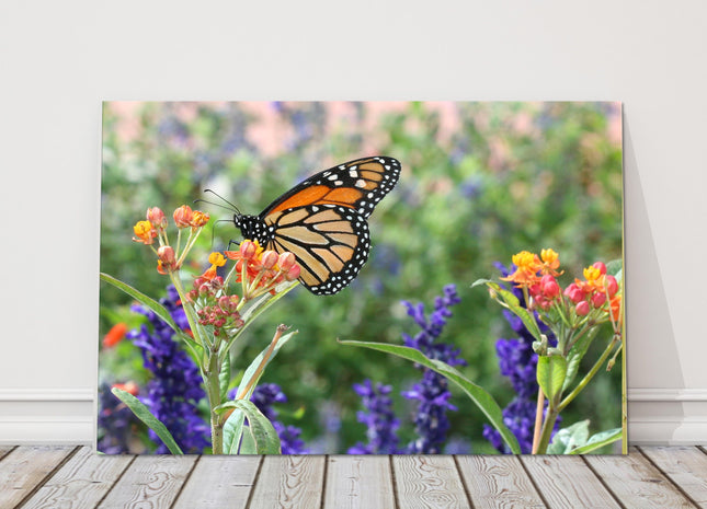 monarch butterfly in wild flowers printed canvas picture print