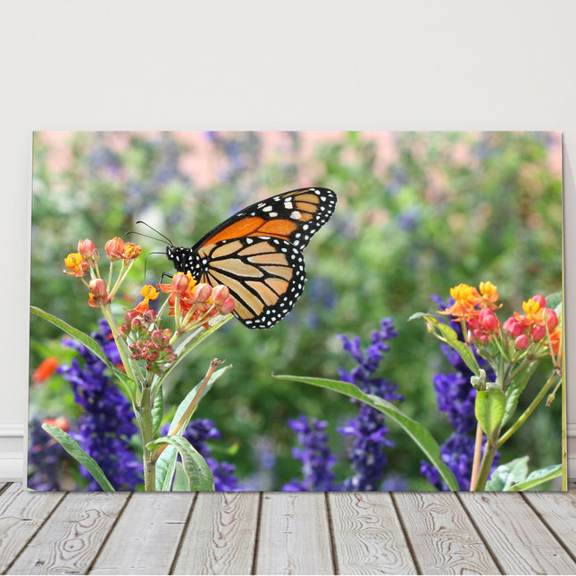 monarch butterfly in wild flowers printed canvas picture print