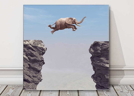 Elephant, jumping rocks funny canvas picture print
